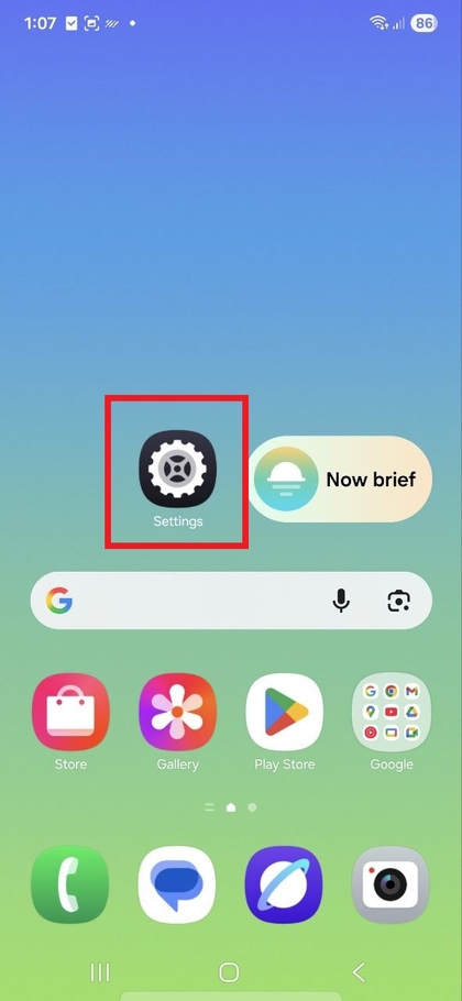 Samsung Galaxy S25 FE home screen with Settings app icon