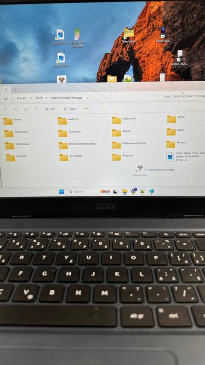 View and Transfer Files in Windows Explorer