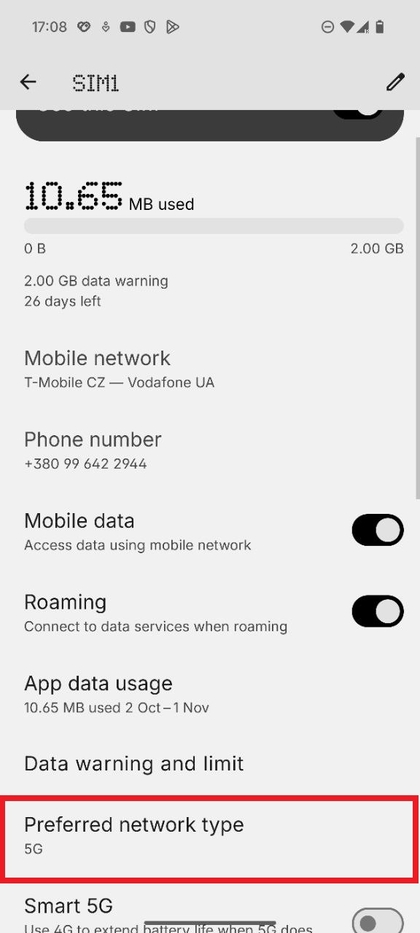 Screenshot showing the 'Preferred network type' option within the SIM settings.