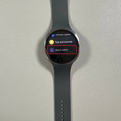 Odjeljak O satu na Samsung Galaxy Watch 8 LTE