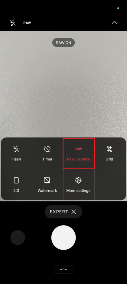 Nothing Phone (3) Expert Mode settings panel showing the RAW capture toggle in the on position.