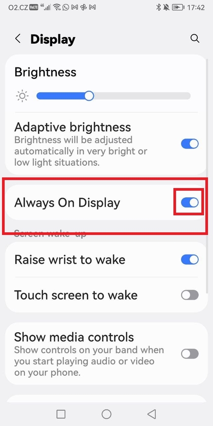 Activando/Desactivando la Pantalla Siempre Activa en la App Galaxy Wearable