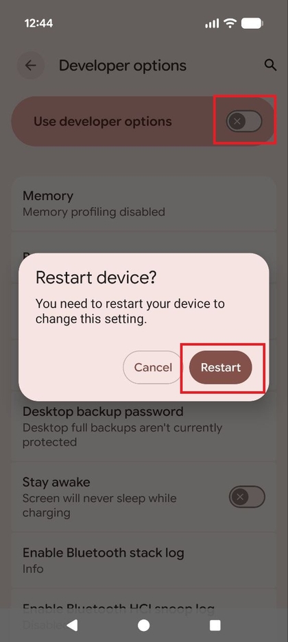 Fen&ecirc;tre contextuelle du Pixel 10 Pro demandant confirmation pour 