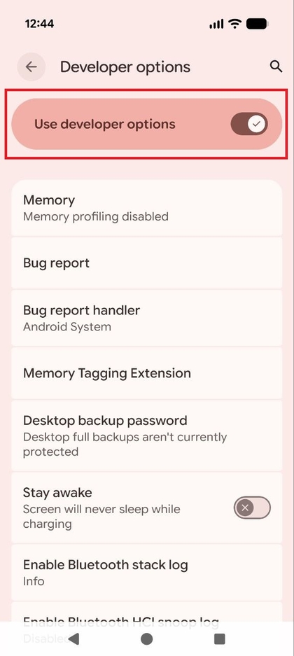 Le menu Developer options (Options pour les d&eacute;veloppeurs) sur le Pixel 10 Pro, affichant l'interrupteur &agrave; bascule principal 