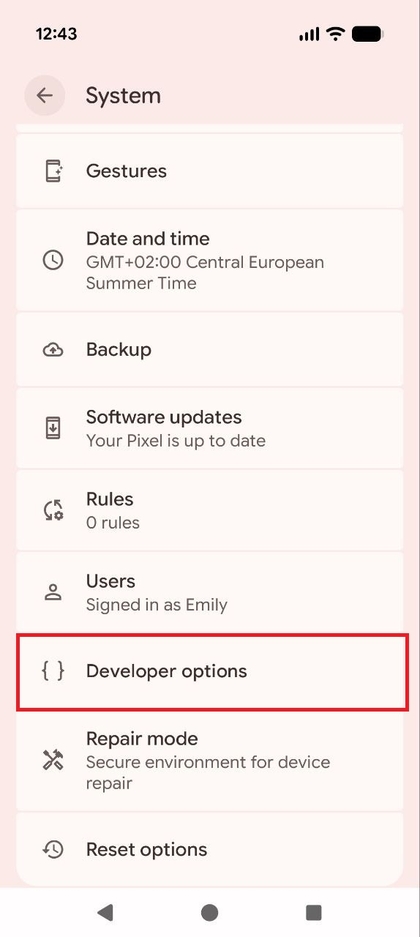Le menu System (Syst&egrave;me) sur le Pixel 10 Pro, mettant en &eacute;vidence les Options pour les d&eacute;veloppeurs nouvellement disponibles.