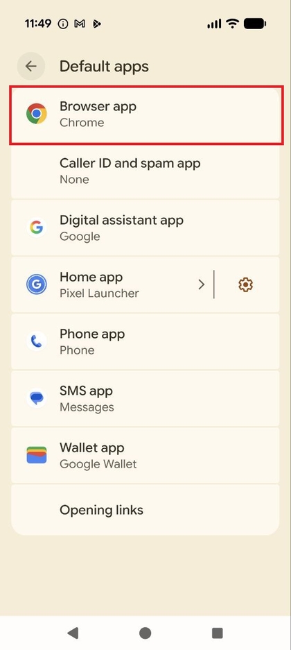 Tikken op de optie Browser-app in het menu Standaardapps.
