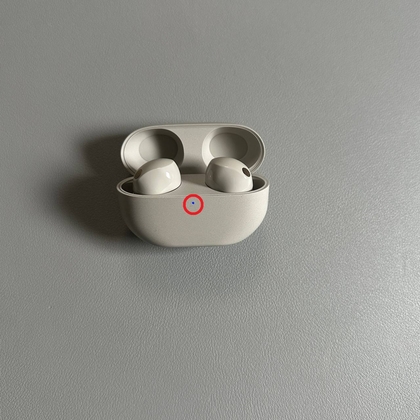 Reset-Taste gedr&uuml;ckt halten