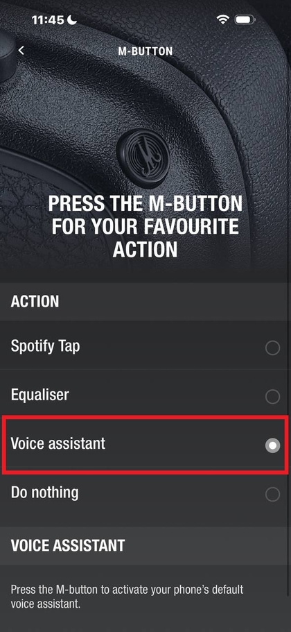 Options for selecting voice assistants in the app