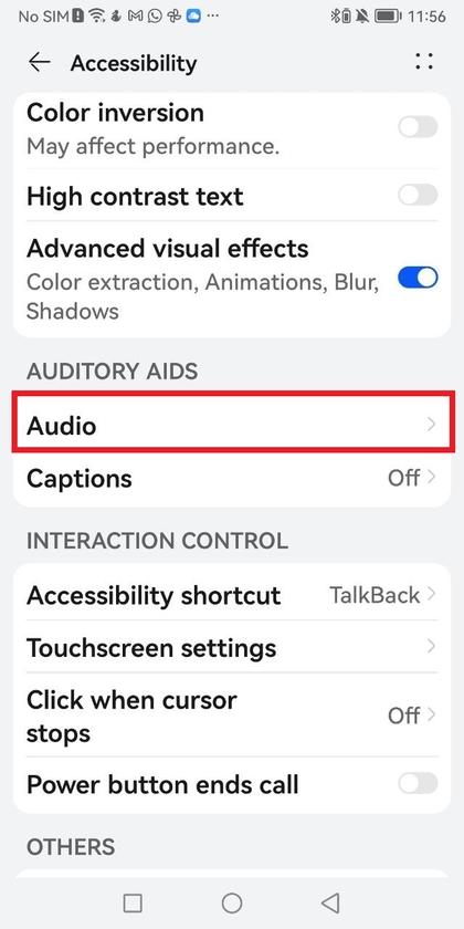 Android phone settings showing Audio Adjustment options