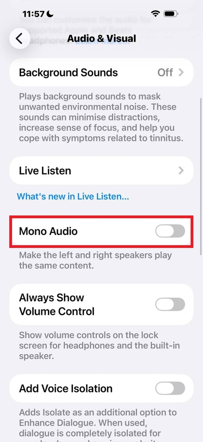 Mono audio option on iPhone showing disabled state