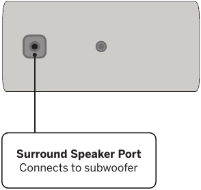 Erdvinio garsiakalbio galinė dalis