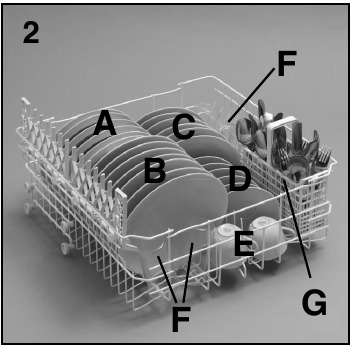 Zgornja ko&scaron;ara (slika 2)