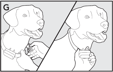 Қабылдағыш жағаны кигізудің 2-қадамы