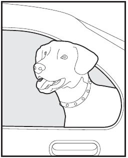 Үй жануарыңызды үй жануарлары аймағынан шығару