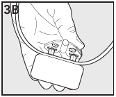 Adjust the Pet Area to Desired Size Step 2