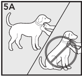 Fit the Receiver Collar Step 1