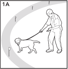 Modalit&agrave; di addestramento solo tono passaggio 1