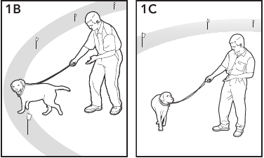 Modalit&agrave; di addestramento solo tono passaggio 2