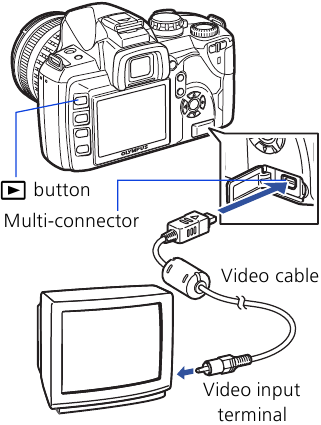 VIEWING PICTURES ON A TV