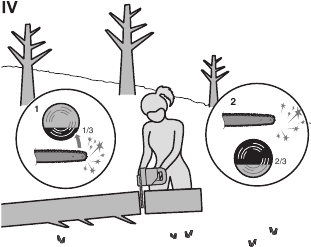 TEMEL AĞA&Ccedil; KESME, DAL BUDAMA VE ENLEMESİNE KESME İ&Ccedil;İN UYGUN TEKNİKLERLE İLGİLİ TALİMATLAR Şekil IV