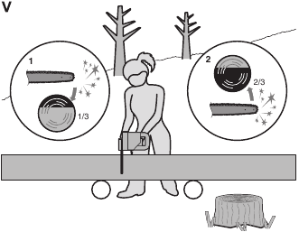 TEMEL AĞA&Ccedil; KESME, DAL BUDAMA VE ENLEMESİNE KESME İ&Ccedil;İN UYGUN TEKNİKLERLE İLGİLİ TALİMATLAR Şekil V