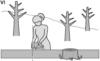 TEMEL AĞA&Ccedil; KESME, DAL BUDAMA VE ENLEMESİNE KESME İ&Ccedil;İN UYGUN TEKNİKLERLE İLGİLİ TALİMATLAR Şekil VI