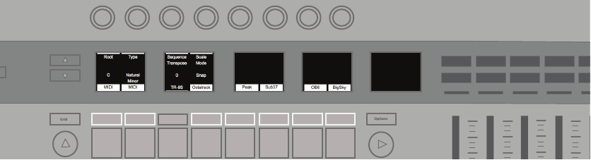 Enable/Disable Scales