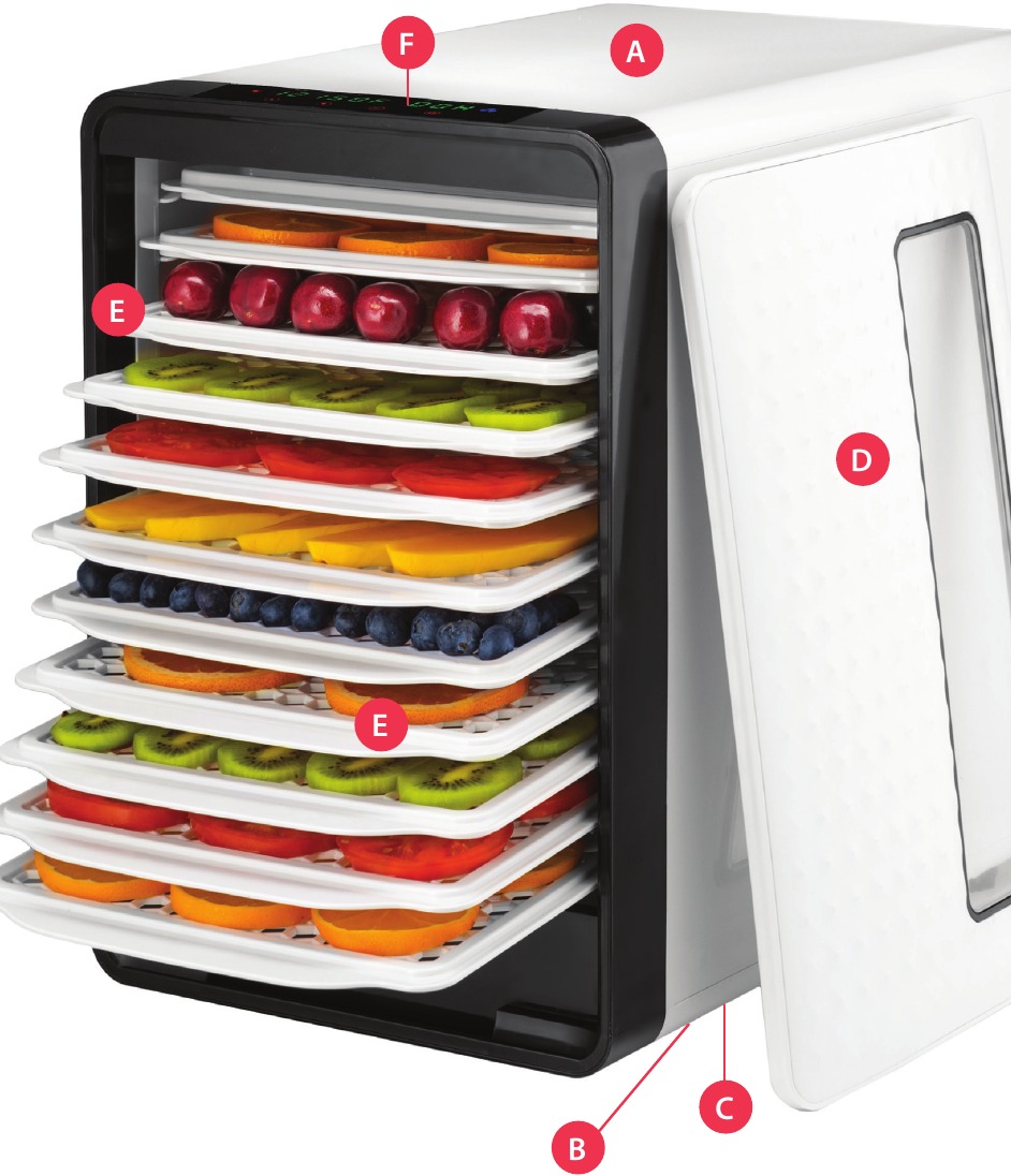 CARACTER&Iacute;STICAS Y FUNCIONES