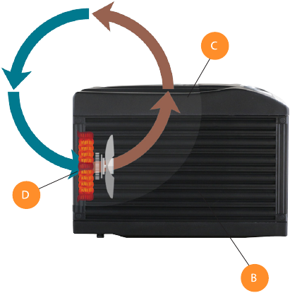 SAVYBĖS IR FUNKCIJOS