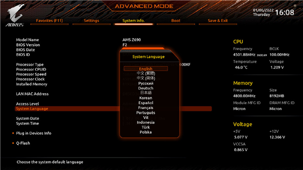 Nastavitev jezika prikaza BIOS