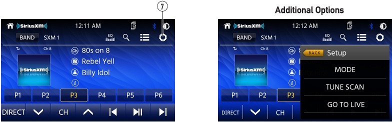 SiriusXM Satellite Radio Additional Options