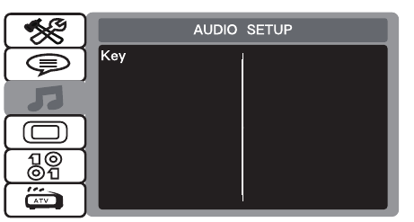 AUDIO SETUP 