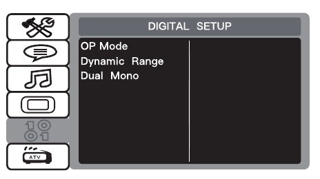 DIGITAL SETUP