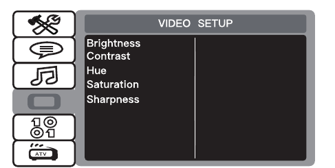 VIDEO SETUP