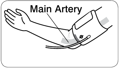 НЕГІЗГІ АРТЕРИЯНЫ ТАБУ