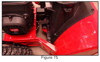 Remo&ccedil;&atilde;o da p&aacute;