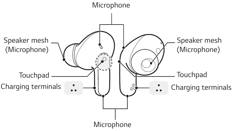 Шолу - Құлаққаптар