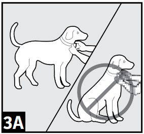 De halsband aanpassen stap 1