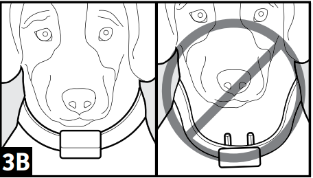 De halsband aanpassen stap 2