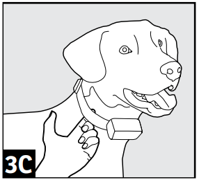 De halsband aanpassen stap 3