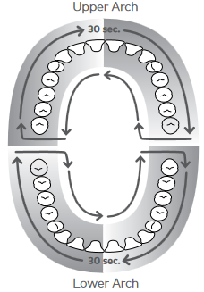 Ett minutts timer/30-sekunders tempoholder