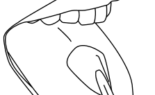 Tungerenser-munnstykke