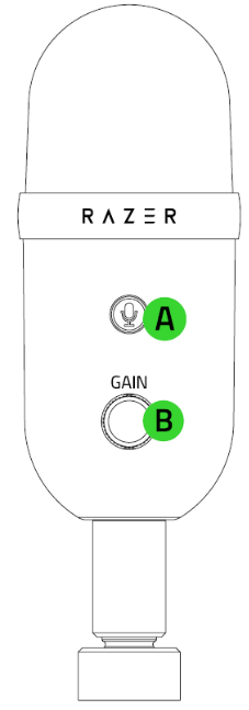 QU&Eacute; HAY DENTRO Paso 1