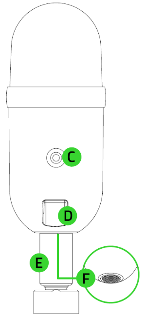 QU&Eacute; HAY DENTRO Paso 2