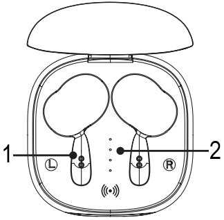 G'ilofning umumiy ko'rinishi