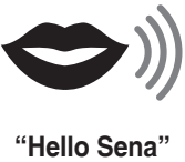 Comandă vocală Pasul 1