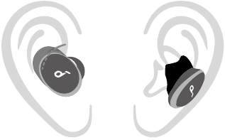 Oorvleugels zijn te groot