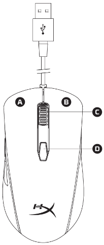Sichqoncha ko'rinishi 1-qadam