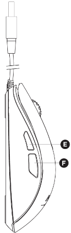 Sichqoncha ko'rinishi 2-qadam