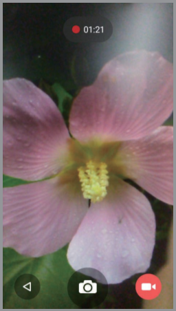 Grabar un v&iacute;deo